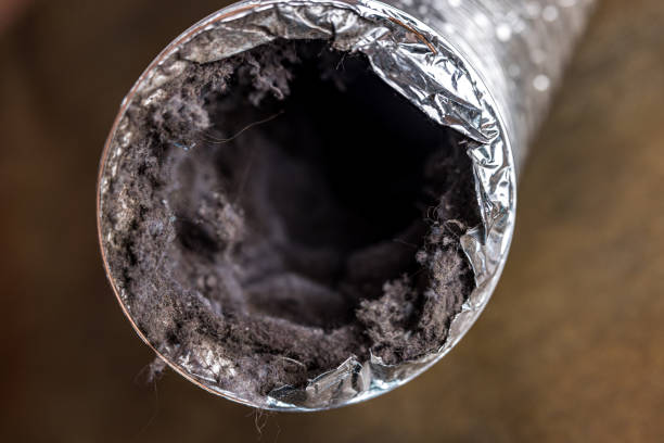Best Duct Cleaning Specialists  in Des Peres, MO